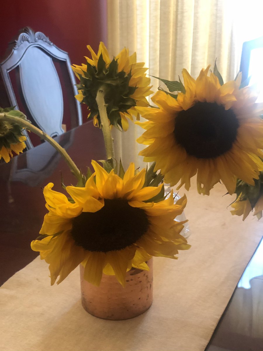 MPAlexanderMD's tweet image. Beyond excited to be gearing up to do something I ❤️- #virtualcooking with @MASTERCHEFonFOX  Fred Chang Noah Sims @SpicedUpMom for a great cause- Boys and Girls Club of Rochester. Three course meal coming up tonight fambam. #pandemiclife #foodheals