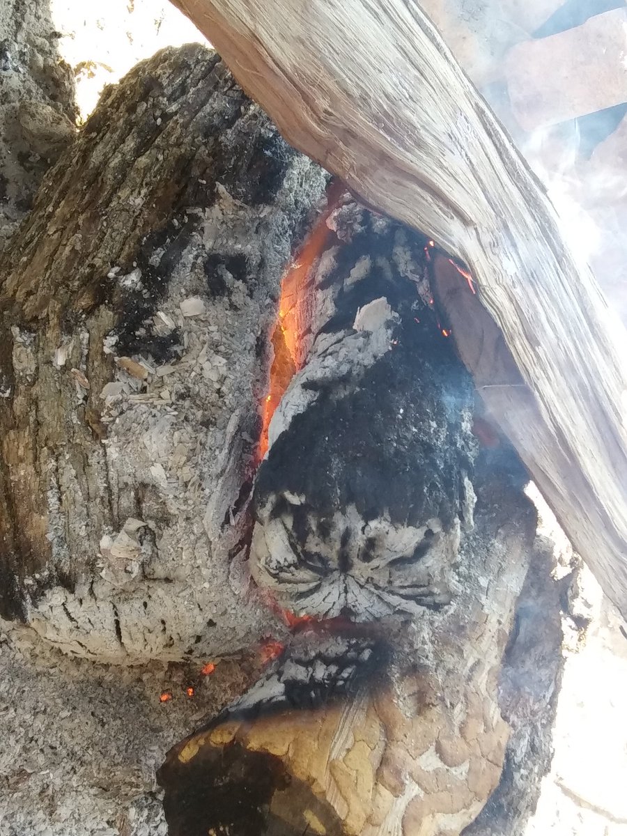 tammy4u2nv's tweet photo. Oh shit!! The cutest little pork roast is gettin' Ooky smoked today. Using my secret sop!! #soppin 'N #moppin' #yardjolliez https://t.co/IKBJ7ywWmZ