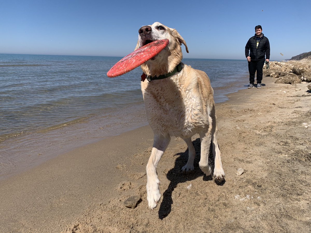 rosalie_luke's tweet photo. Itโs the #firstdayofspring and I convinced parents that it was warm enough to swim. It wasnโt. But I tried anyway. Itโs always warm enough for frisbee though! #SpringEquinox #frisbeechamp https://t.co/Hv26KtVzJC