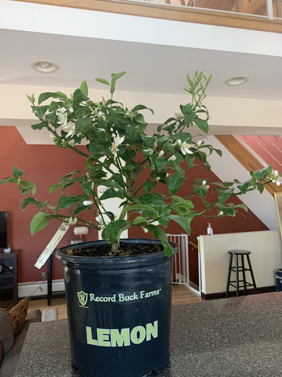 Joseph D. Deak, PhD tweet media