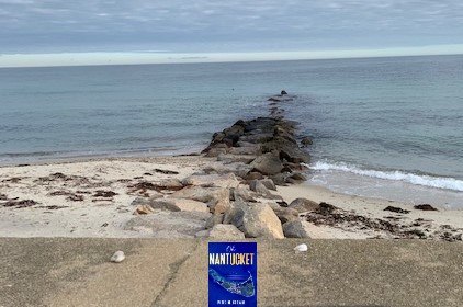 Words cannot describe...the salt, the sea, the air. Oh, Nantucket. @dollyalderton @vintagebooks @MichaelJBooks @bookforum @bookpage @BookRiot @bg_bookclub @OprahsBooks @ReesesBookClub @BostonGlobeMag @nytimesbooks #nantucket  petermbrowne.com #booklover @PresentFuture3