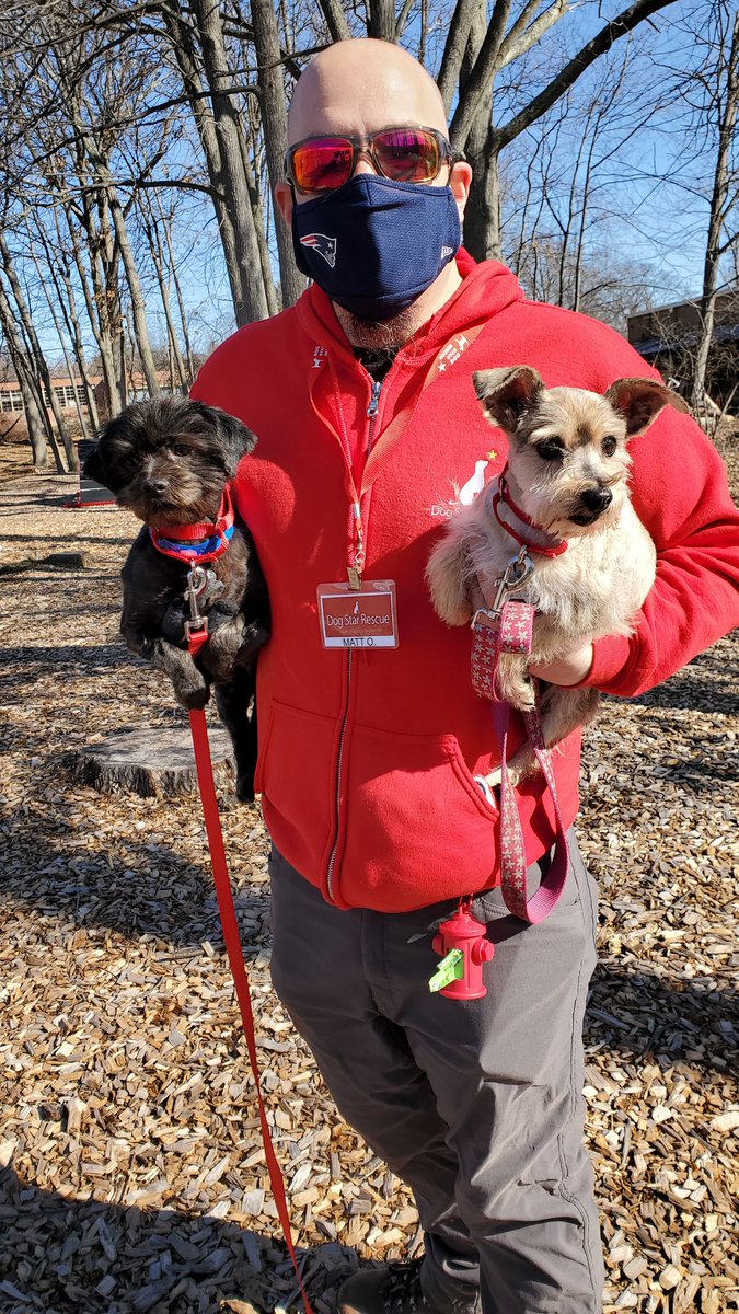 DogStarRescue's tweet image. New Arrivals at the Rescue!
#AdoptDontShop #RescueDogs #RESCUE #puppylove