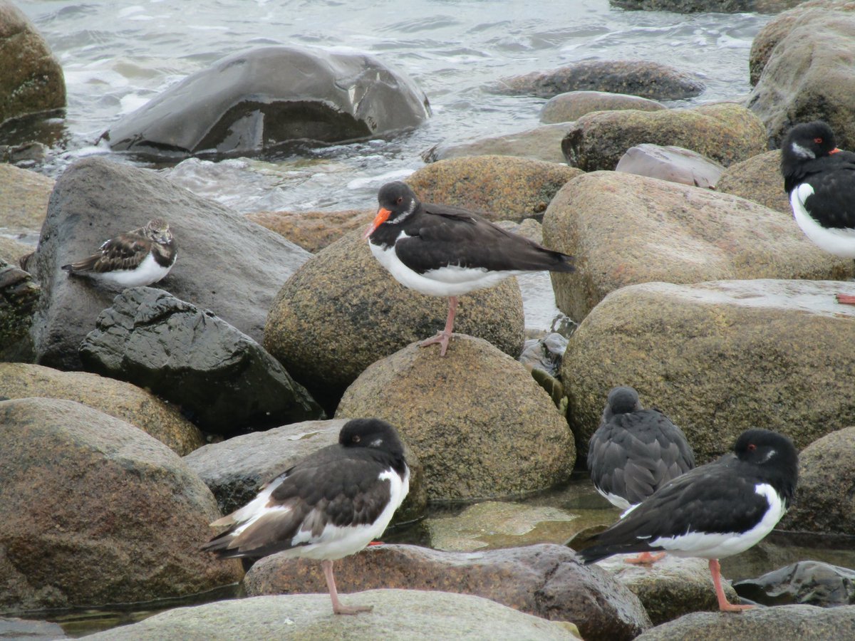 BTO Co. Down tweet media