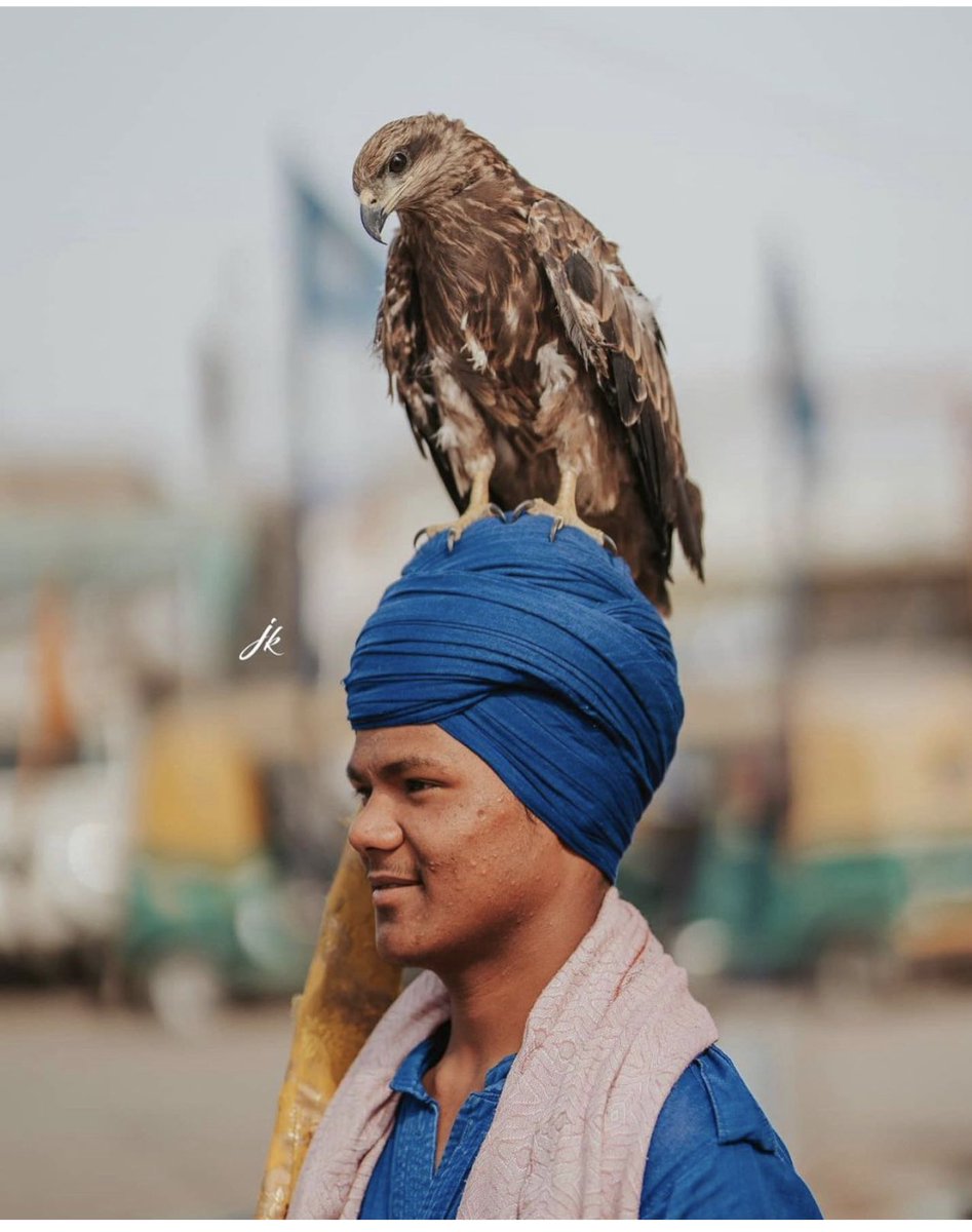 TToor_'s tweet image. #isupportfarmersprotest #FarmersProtest #SupportFarmersProtest #IStandWithFarmers