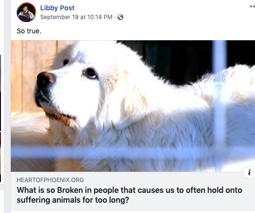 GiveLuckyBack's tweet photo. @P4animalsR @PepitoneForNYC @Patrick25555834 @TheBlueRose15 @TaniaHopkins3 @NYCASR @NYCACC @ASPCA @CNN @AndrewYang @NYCHealthCommr @nycgov @MarkLevineNYC @SeeCraig @AndyWeprin @Ceelyn15 @Marylaw55555 @DaisyPaezLES @scottsantens @nerdsforyang Hold on #LibbyPost the BIGOT is now on the board of #VFar.  How could any #AnimalOrganization associate with the most anti-Shelter #Animal lobbyist out there? https://t.co/1v1c9spkqu