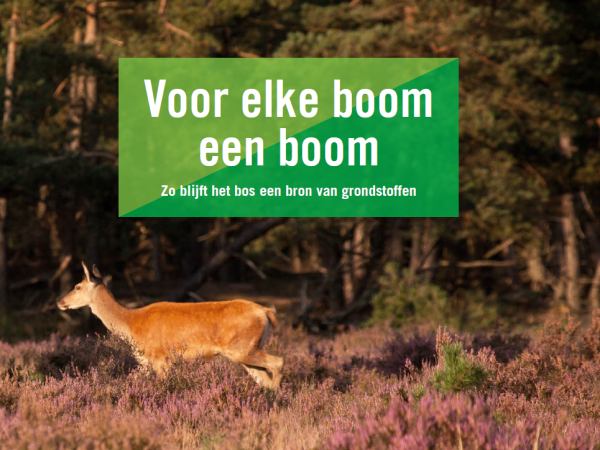 Morgen, 21 maart, is het #internationaledagvanhetbos 🌲🌳 Bossen beschermen en verzorgen ons... 
Een mooi blog geschreven door Patricia Dolman, PEFC: ow.ly/bry150E0Zfm

#internationaledagvanhetbos #samenvooronzebossen #welovewoods  #CO2neutraal #PEFC