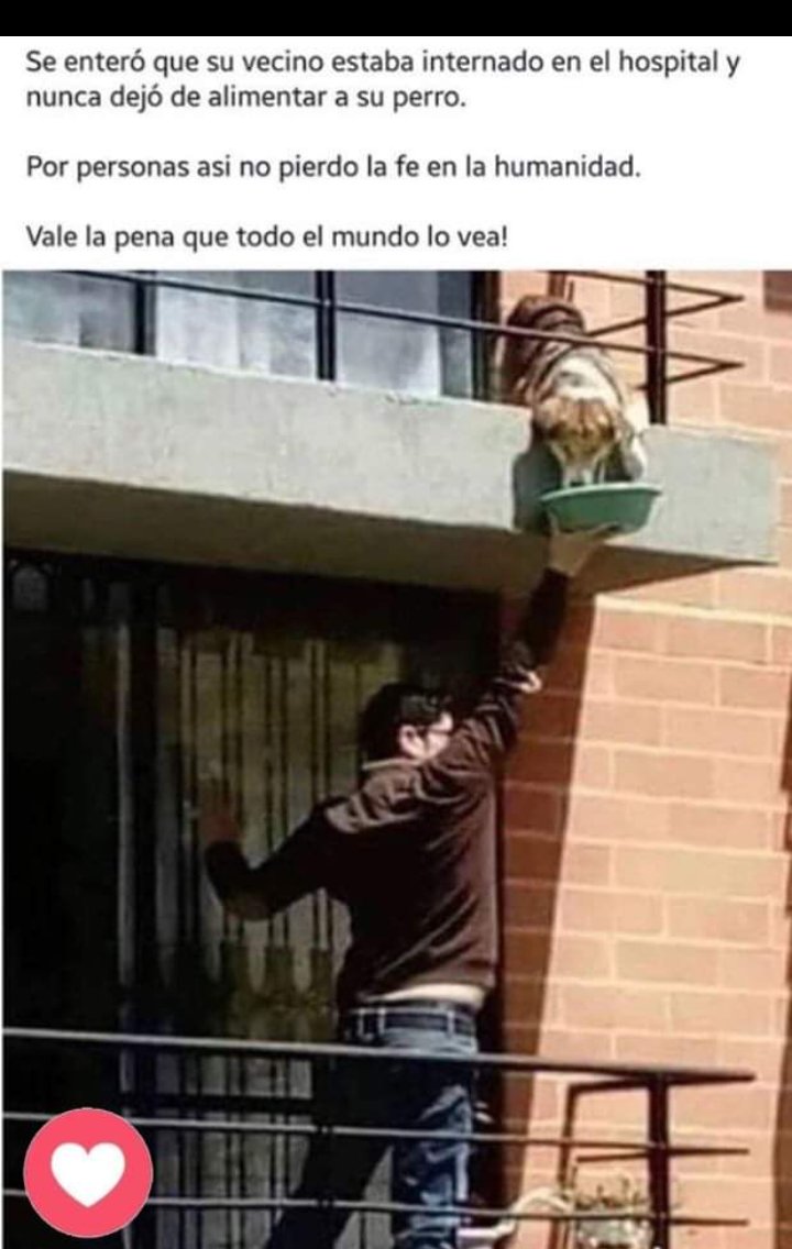 PerroUsuario's tweet photo. RT @elescudero74: Uds Póngale Título A Esta Foto https://t.co/OHNdvU2K1C