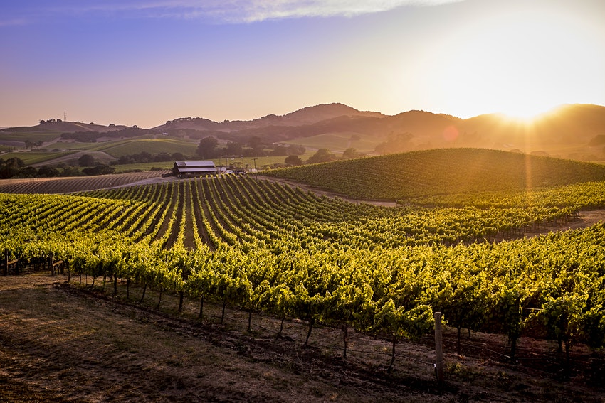 lonelyplanet's tweet photo. These 16 classic California road-tripping routes are soaked in enough epic scenery to make each deliciously slow, winding mile of your drive worthwhile. https://t.co/l4i2BxOXws https://t.co/iHLp076Bf5