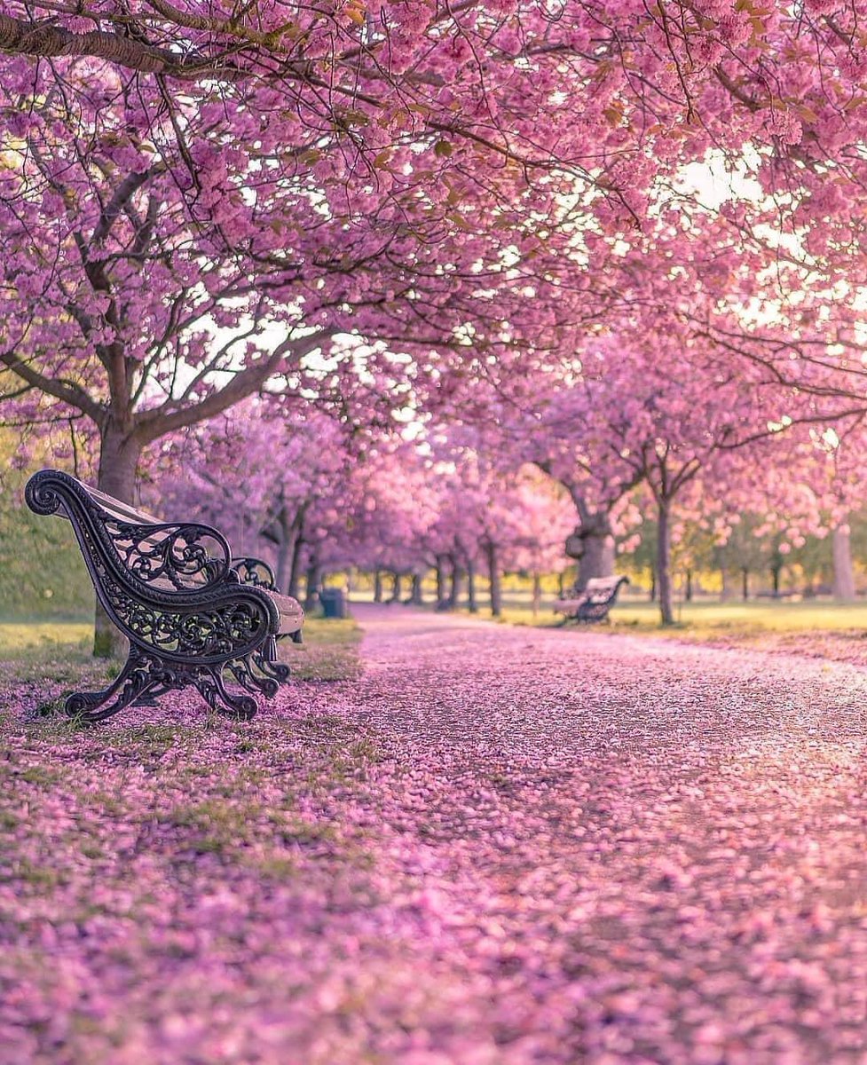 Oriana Torres tweet media