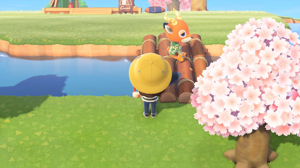 Beau also still lives on Apple Tree Island! One of his favorite activities continues to be sitting in the middle of my bridges so I can& #39;t cross. Vesta was my very first Mystery Island villager. She moved out a while ago, but I miss her! It was a hard decision to let her go.