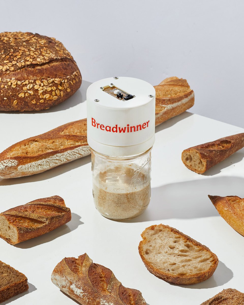 Breadwinner tweet media