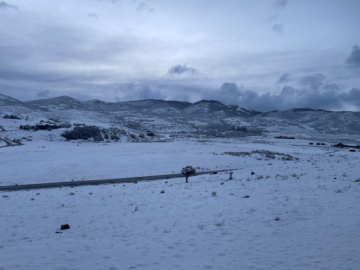 Curtis Judd tweet media