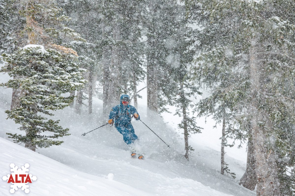 Alta Ski Area tweet media