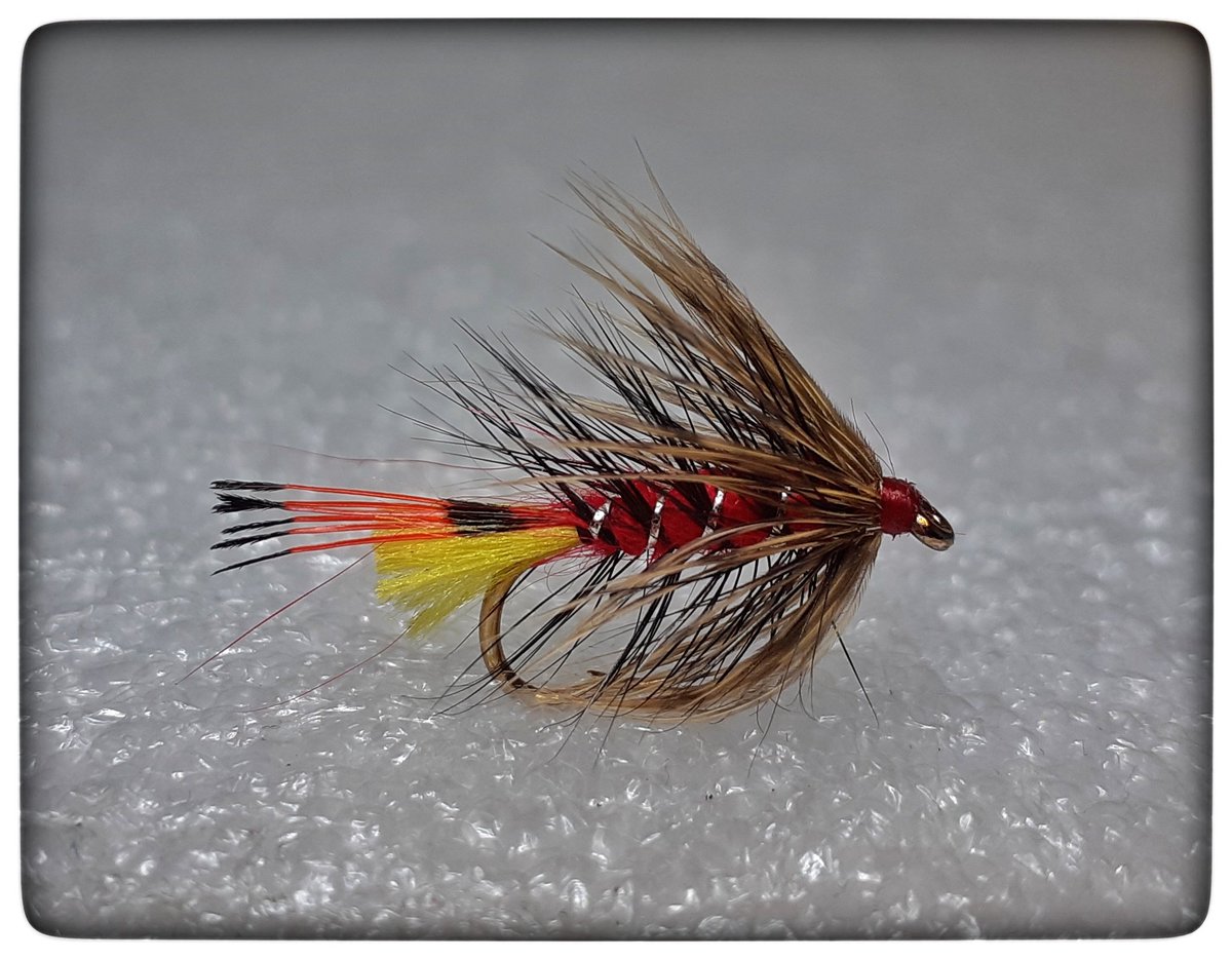 HillendDabbler's tweet photo. Back on the Loch style wets tonight! π§΅ #lockdownflytying https://t.co/ivAezsiv2n