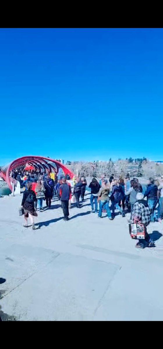 emmadeady's tweet photo. Does this count as "blocking critical infrastructure" @jkenney? 

The Peace bridge was packed wall-to-wall with anti-maskers for a solid half hour this afternoon. 

How is that safe for ppl like myself &amp; others obeying mask/social distancing/group gathering restrictions?

#Ableg https://t.co/iJyVg0DMJ5