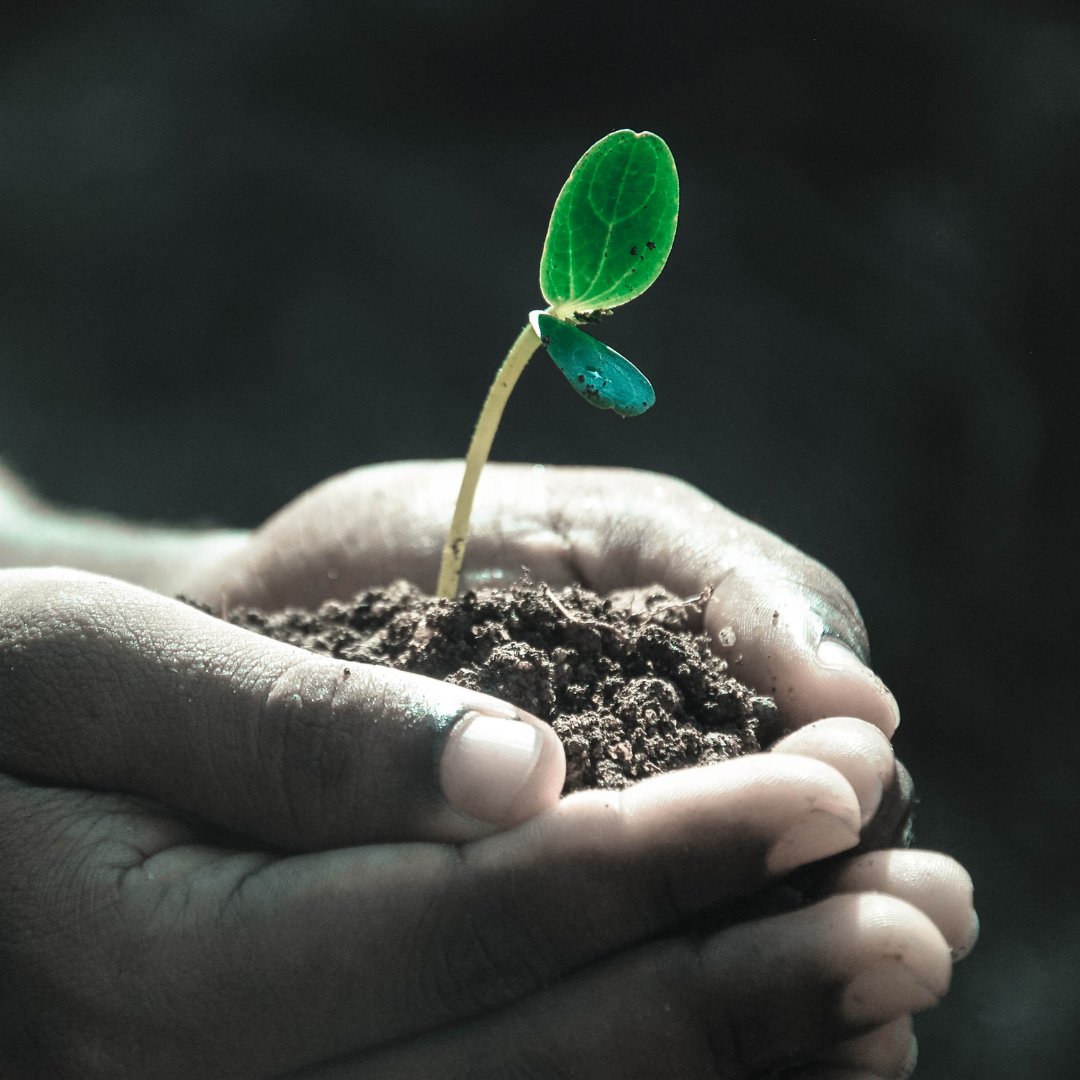 HotelRLBrooklyn's tweet photo. At Hotel RL Brooklyn, we believe in giving back! Each time you stay with us, $12 of your booking fees go to support our environmental and social initiatives. Learn more on our website and come see us soon! https://t.co/ZPRsv5x2xP #brooklynhotel #doinggood #supportingcommunity https://t.co/SeniFioQnO