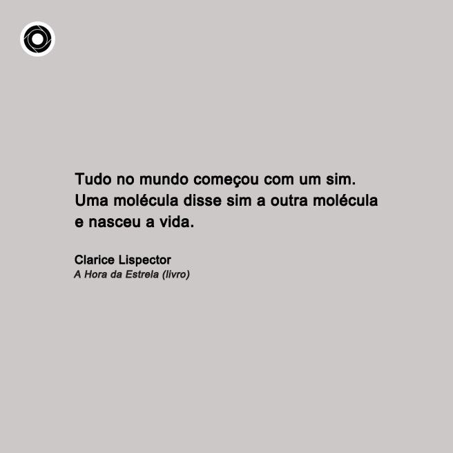 Clarice Lispector 👇