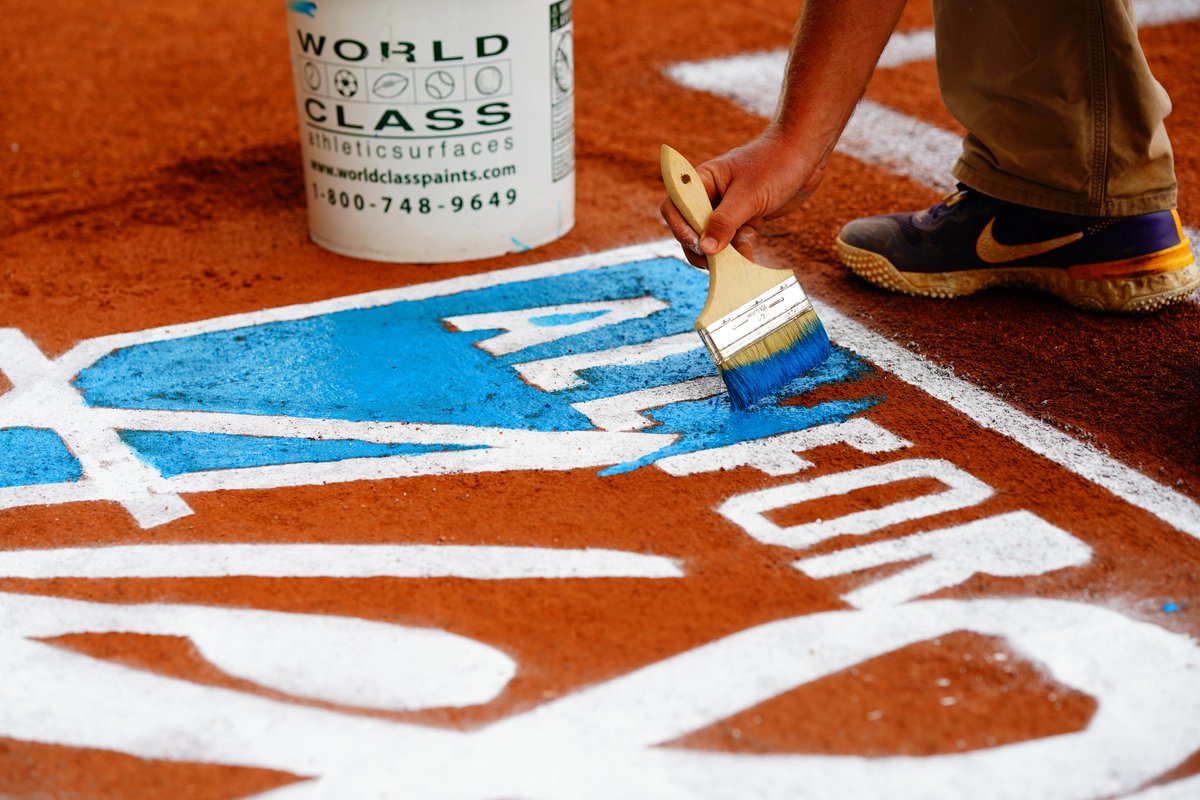 LSUsoftball's tweet image. No One Fights Alone 🦋 #AllForAlex