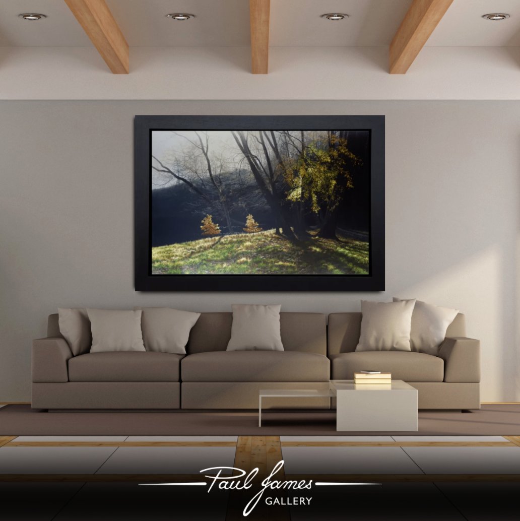 🌲In celebration of International Forest day, here's one of Pauls many amazingly detailed landscape pieces...

❤️Struggling to decide on a piece? Don't forget that we an help! Simply email us a photo of your wall and tell us your desired piece, and we will do the rest 😉