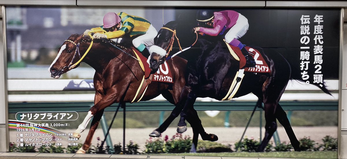 日刊ゲンダイ 競馬 on X: 日刊ゲンダイ 競馬 on X: