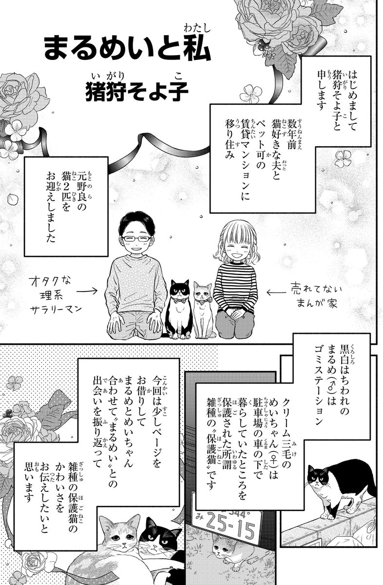 一目ぼれした保護猫を我が家に迎える話(1/4) 