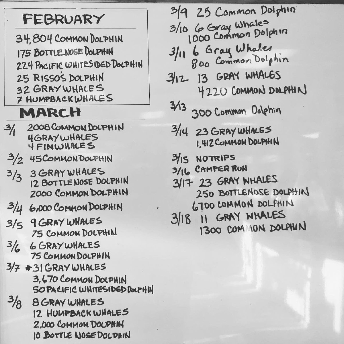 IslandKayaking.com tweet media