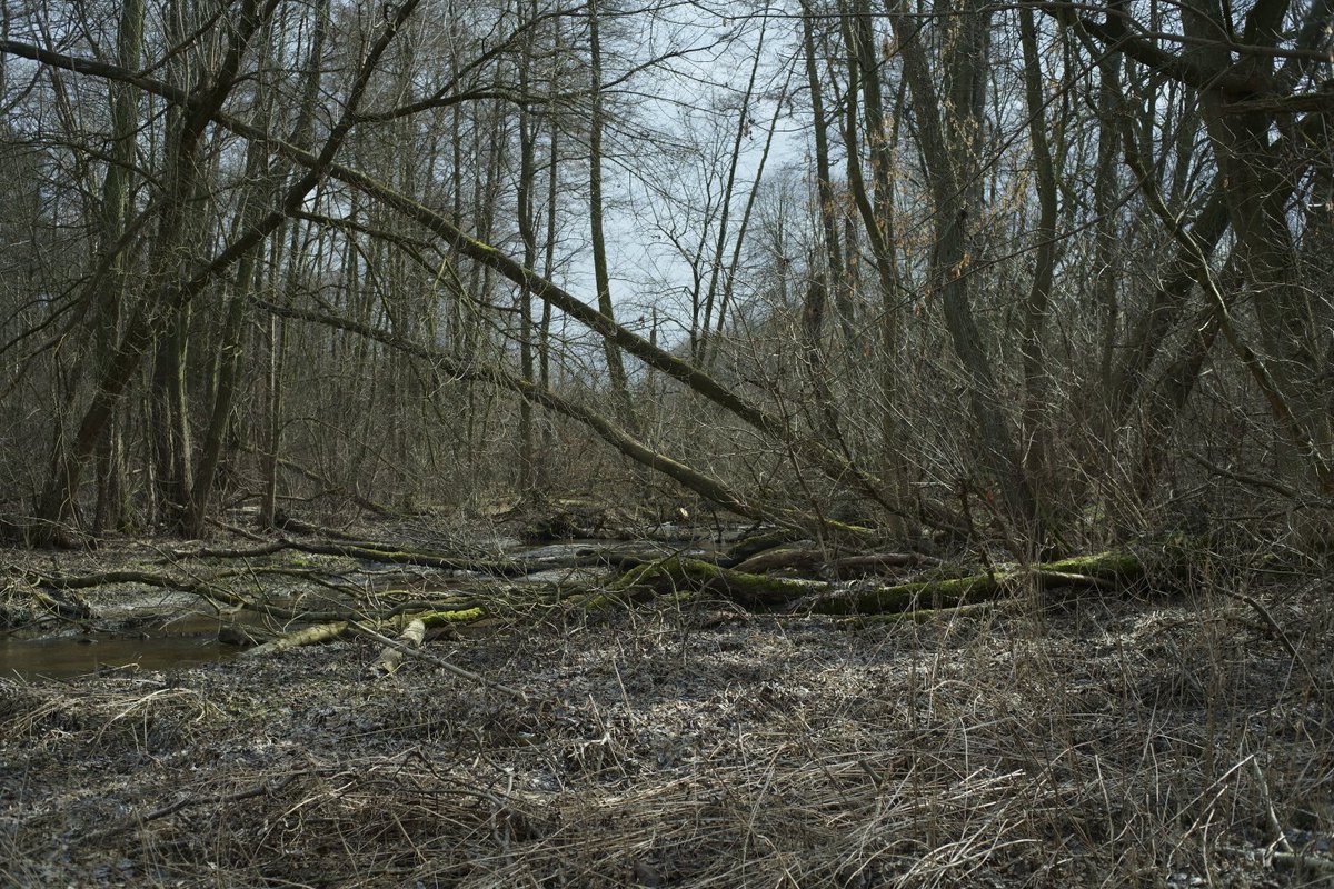 From the series “Villages”. Zgierz District, Poland, March 2021. More photographs: aboutlandscapes.com #landscape #photography #river #forest #art