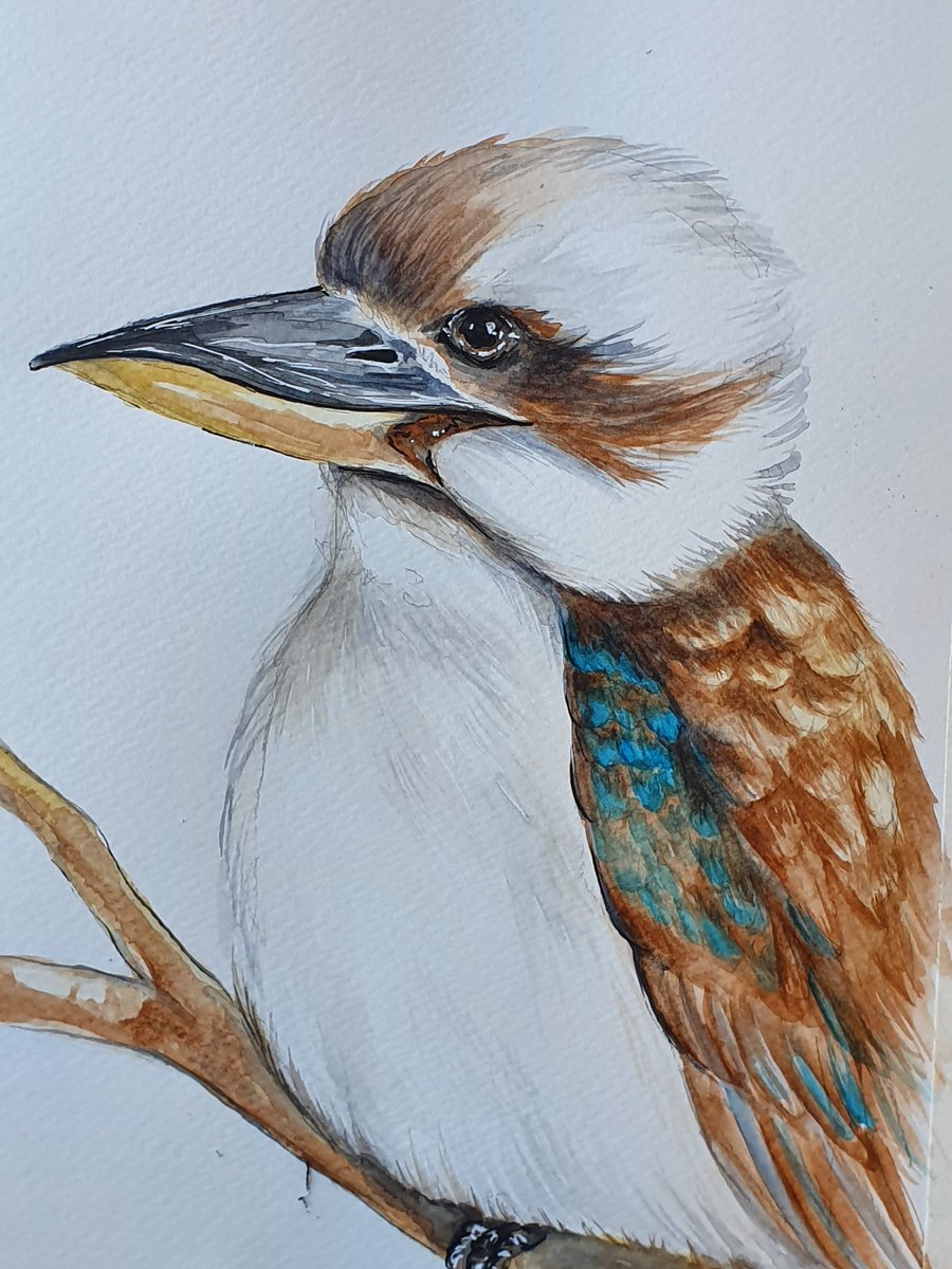 JintyandRayne's tweet photo. Lesson planning for ACH Group for this week.

#art #adelaide #southaustralia #australia #postcode5158 #privateartlesson #privatetutor #kidsartsession #artislife #adultartsession #seniorlessons #artislife #hallettcovebeach #supportlocal #adelaideartist #southaustralianartist https://t.co/duQH712QWx