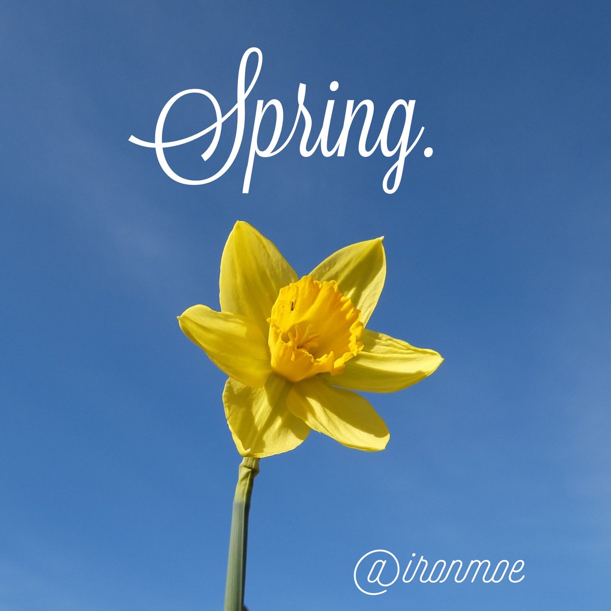 HappyFirstBook tweet media