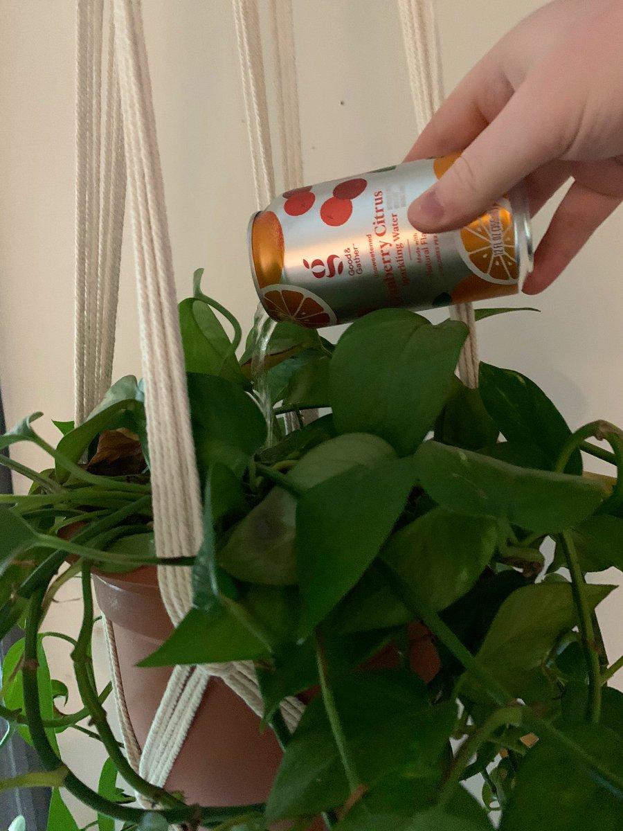 +$1,400 in the bank, everybody eats