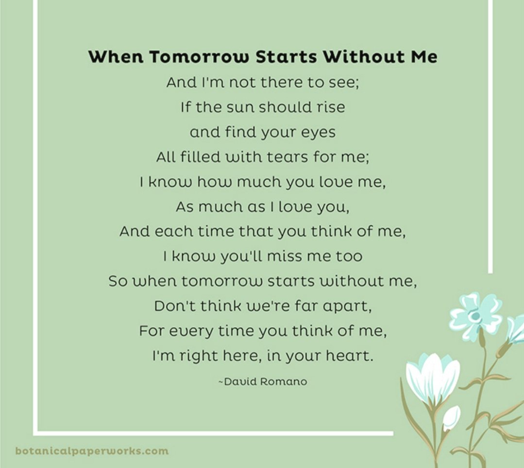 Maggie Meah tweet media