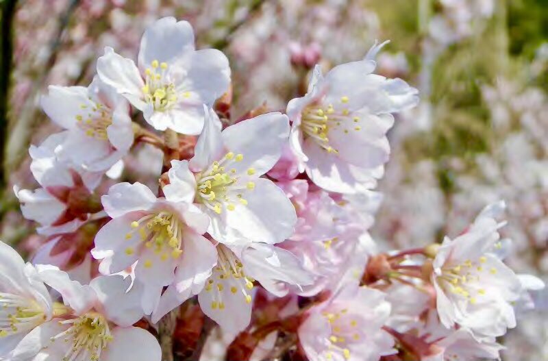 تويتر مشاهدة تغريدة Blumen87 في ٢٢ مارس ٢٠٢١ على Twitter تويتر مشاهدة تغريدة Blumen87 في ٢٢ مارس ٢٠٢١ على Twitter