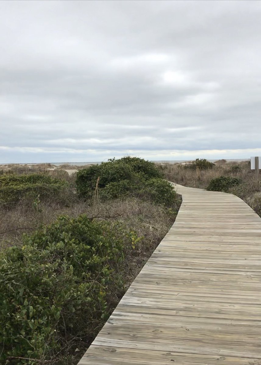 TJsHooker's tweet photo. I enjoy short walks to the beach. https://t.co/UYYNvpxGG8