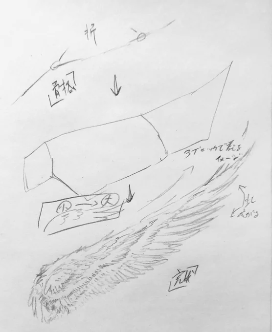 #RARUKUのマジでどうでもいいイラスト講座天使の翼は白鳥の翼より公園にいる鳩の翼とかで勉強した方がいい。実際に観察しながら描けるからおすすめ。 