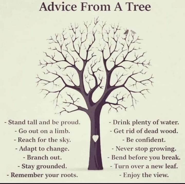 MrsWakem's tweet photo. ๐ Best advise ever! #LiveAndGrow #NeedToEnjoyTheViewMoreOften #BeGenuine https://t.co/p0yTfqOe4J