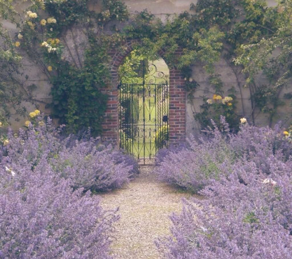 Birdy 🐦‍⬛ tweet media