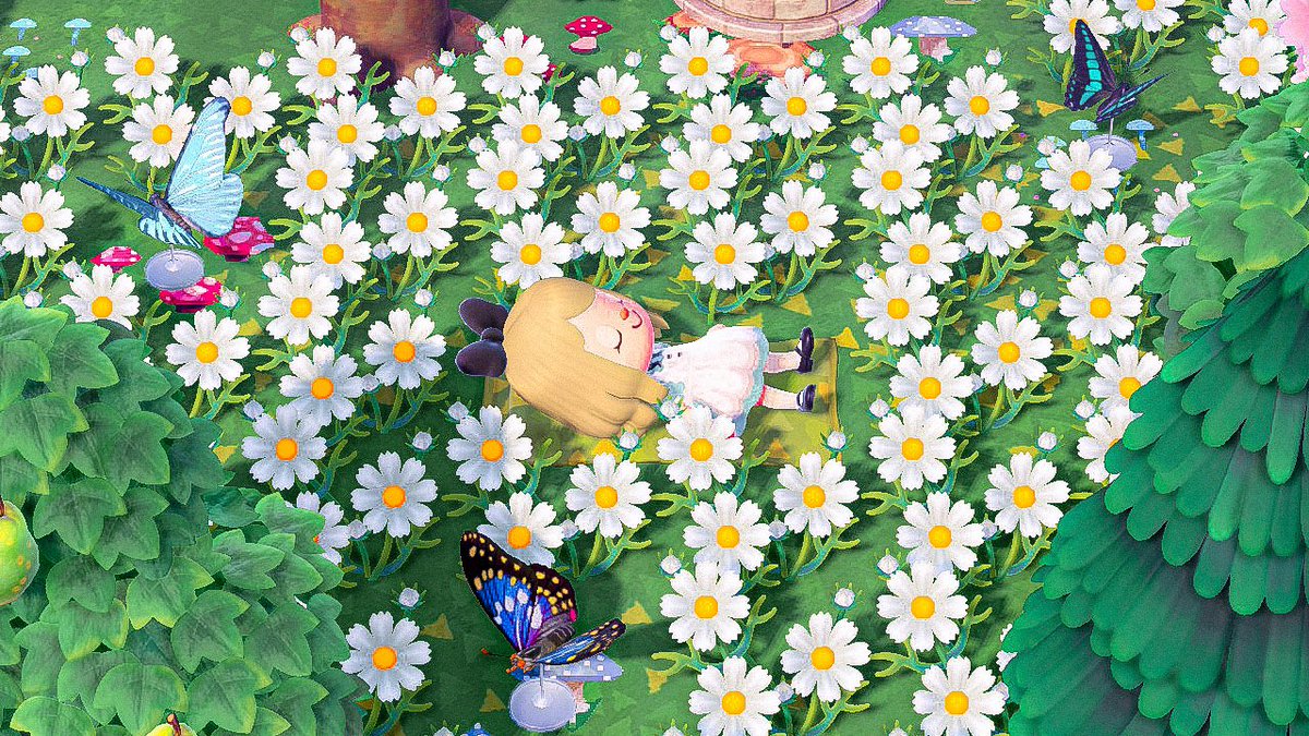 yukaa | PARTNER PUSHING 🌿🐾🦦 tweet media