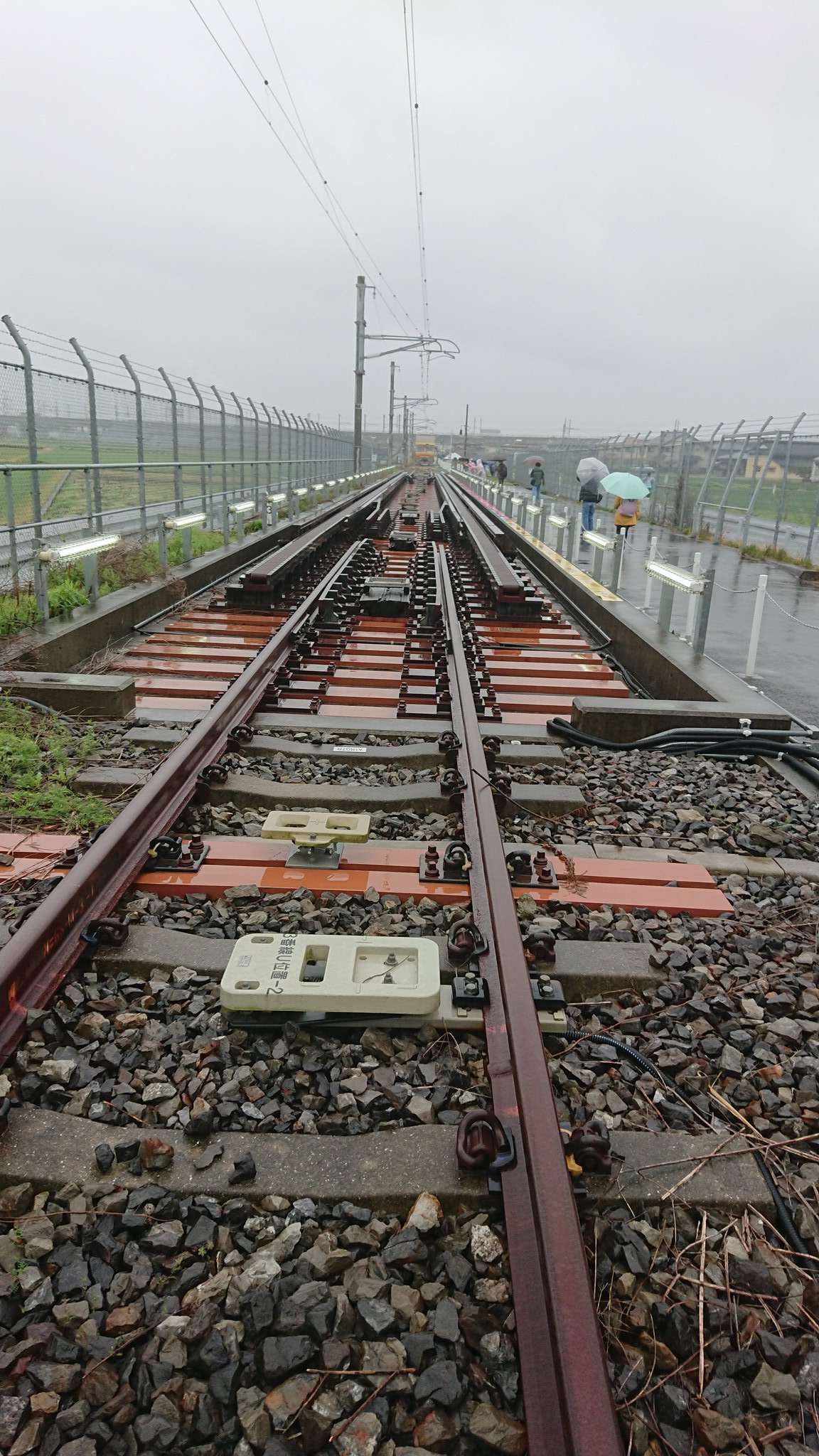 Twitter 上的 じがとし 21 3 21 日 Jr九州ウォーキング 新八代駅 に参加 Jr九州 九州新幹線開業10周年 特急リレーつばめ アプローチ線 レールウォーク 新八代駅 T Co Gjvlpujqv4 Twitter