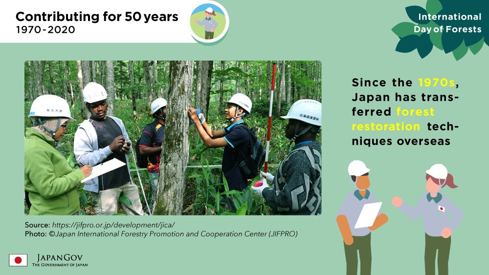 Happy #InternationalDayOfForests! Japan has kept a constant forest rate by working to conserve natural forests & foster planted ones. It has also promoted #Reforestation & transferred #ForestRestoration techniques overseas.

#IntlForestDay #GlobalGoals