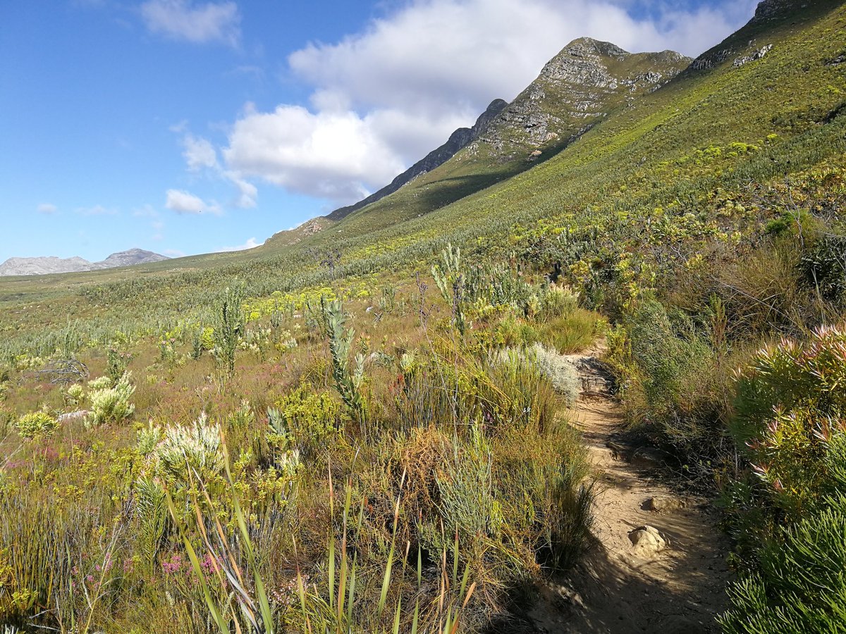 lolsielove's tweet image. Vir almal wat deur die nag in kommer en spanning wakker gele het, vir elkeen van julle wat worstel met 'n probleem, vanoggend bid en vertrou ek dat vir elkeen van julle 'n deurbraak sal kom, moenie opgee nie God is getrou, Hy sal uitkoms gee
Mooiste dag vir al my Twitter vriende