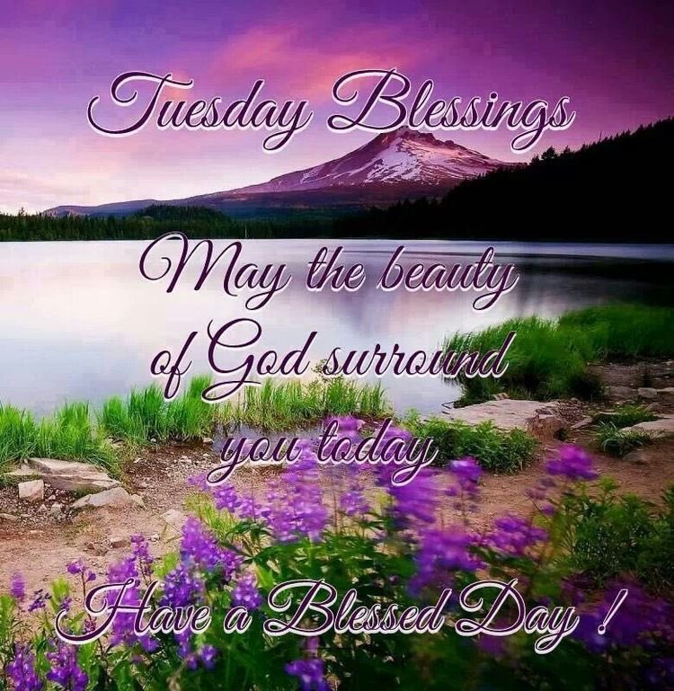 Dianne__LadyD's tweet photo. #TuesdayBlessings #TwitterFriends 

💛Have A Magnificent Day!💛 https://t.co/mNN6yqRaAA