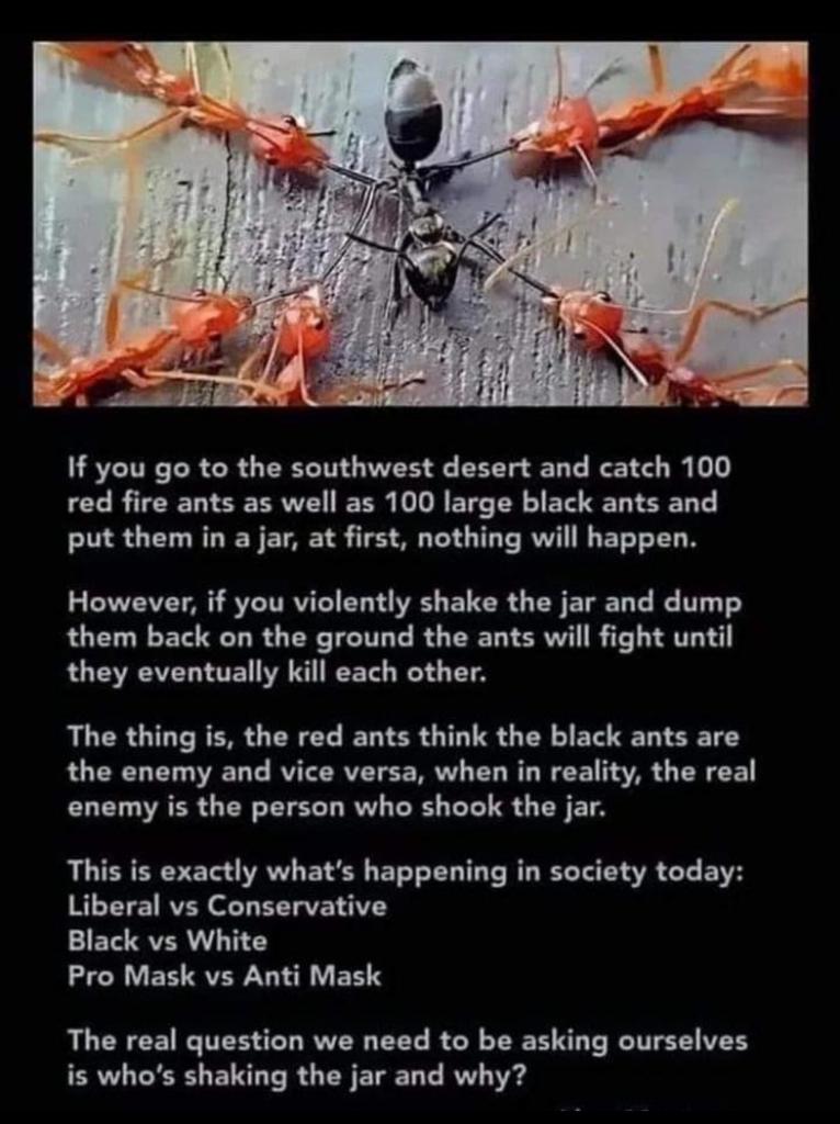 BowlerPlayer's tweet image. 