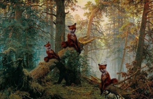 Stoned Fox Finance #BSC tweet media