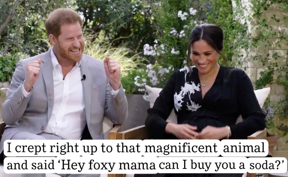 sofiegill's tweet image. 