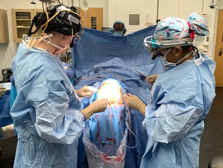 MGUHNeurosurg's tweet photo. On #InternationalWomensDay ,  we celebrate our amazing female neurosurgery residents @e_celano @KelsiChesney @kelseycob @niralipatel! Proud to have them on our team! #neurosurgery #WomenInMedicine https://t.co/TYyjBQYbEk