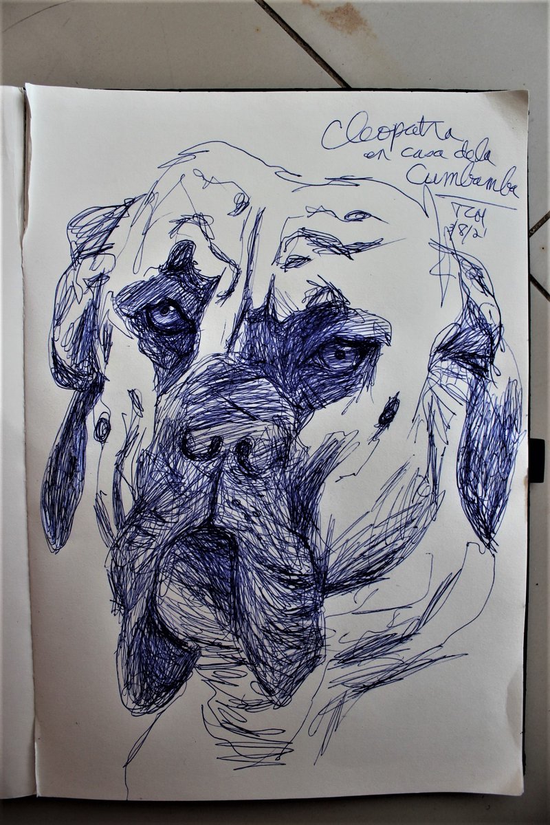 Cleve_Hicks's tweet photo. Sketches of Cleopatra, in la #Cumbamba, #Colombia. https://t.co/Dkpp2Nd0gV