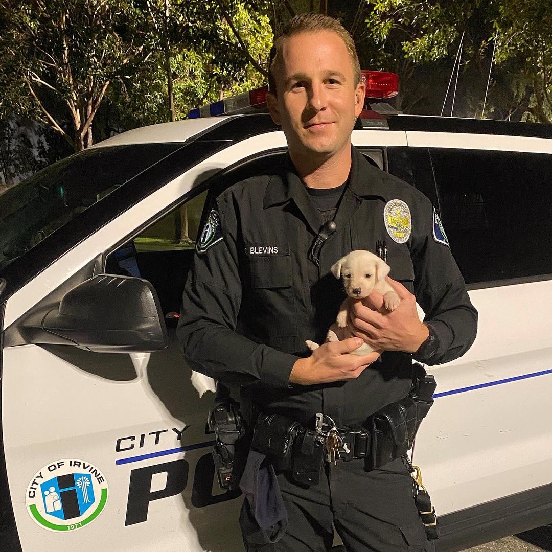 IrvinePolice tweet picture