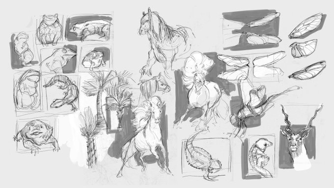 some studies for the make a dragon meme (that i was totally planning to do over the weekend but ssssssshhhhhhh, weekends are for napping) 