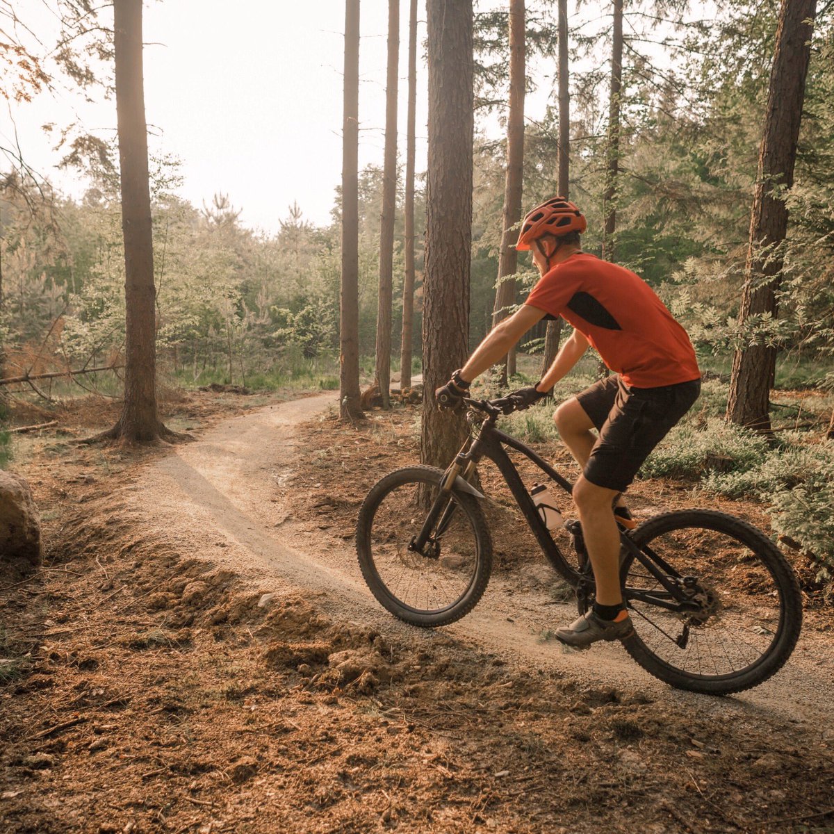 Never a bad time to go cycling #cycling #actionsport #mtb