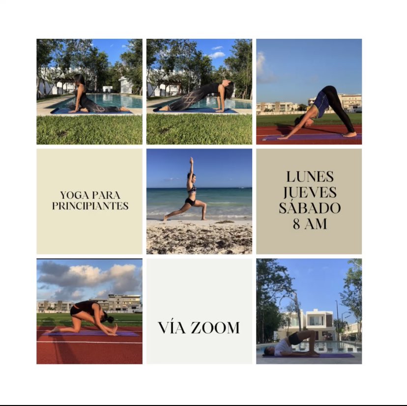 Pauyogi's tweet photo. Te gustaría iniciar la práctica de #yoga?
Clases por #zoom 8 am hora #CDMX
Aprende a relajar tu cuerpo y mente a través del movimiento.
Info aquí conmigo 😊
#mexico #yogamex
RT ♥️ https://t.co/adXW2sJpux
